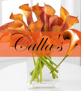 Check out Calla Bridal and Event Design in Lowell